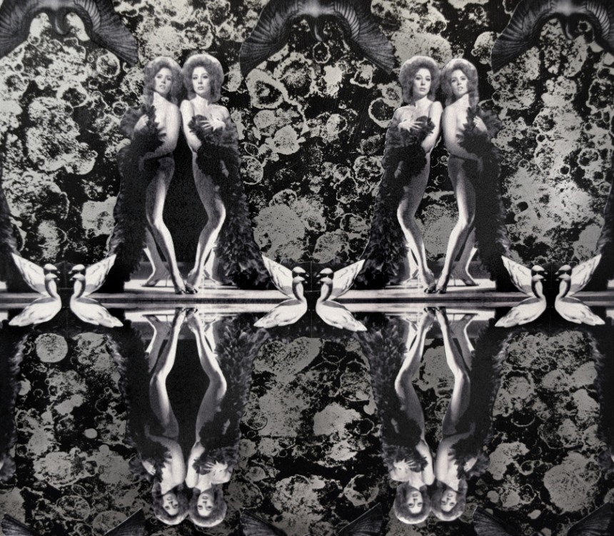 Raven Schlossberg, Double Trouble (Detail), 2014