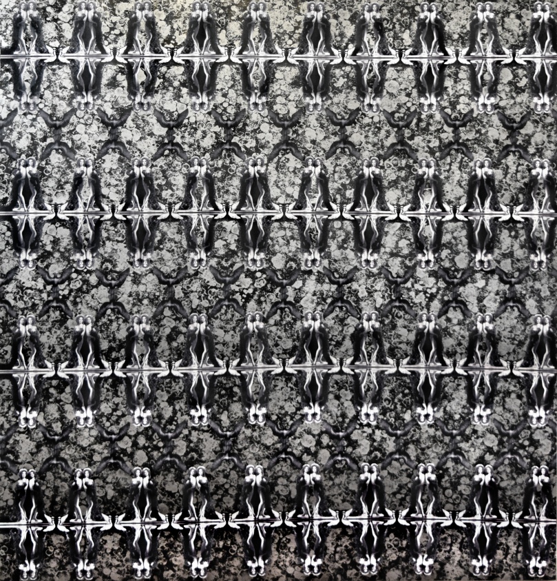 Raven Schlossberg, Double Trouble, 2014